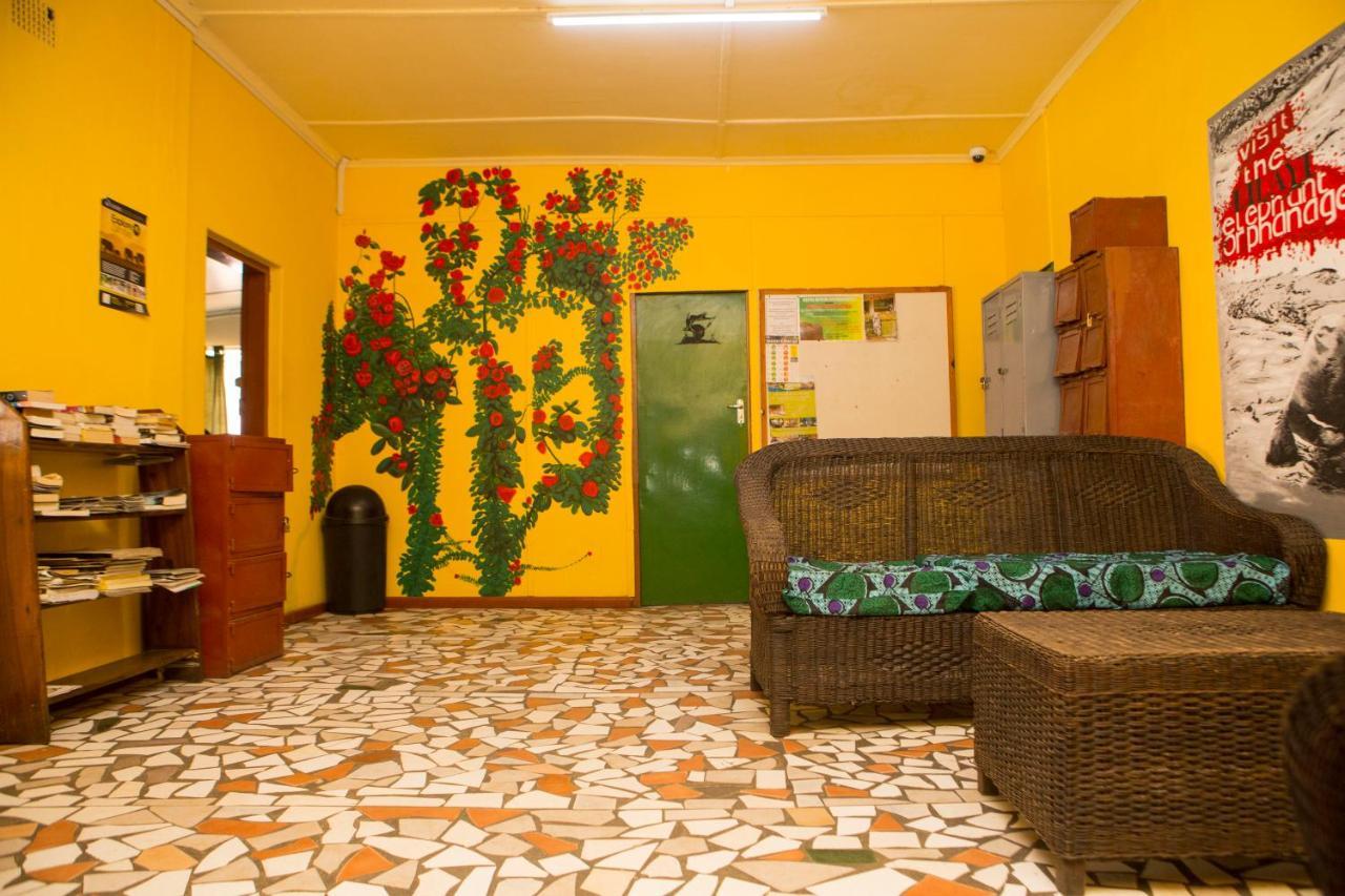 Lusaka Backpackers Hostel Ngoại thất bức ảnh